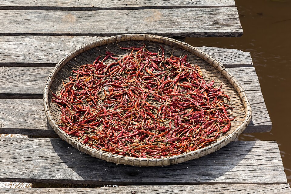 Red chili peppers (siling labuyo) drying