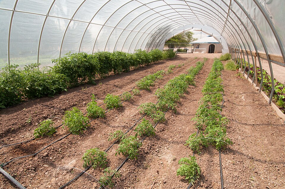 Sustainable agriculture — greenhouse farming