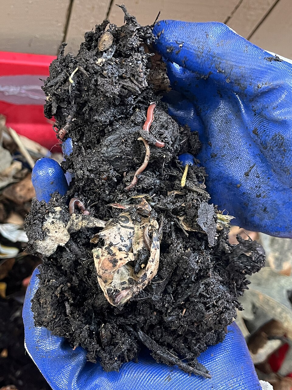 Organic vermicompost — natural fertilizer